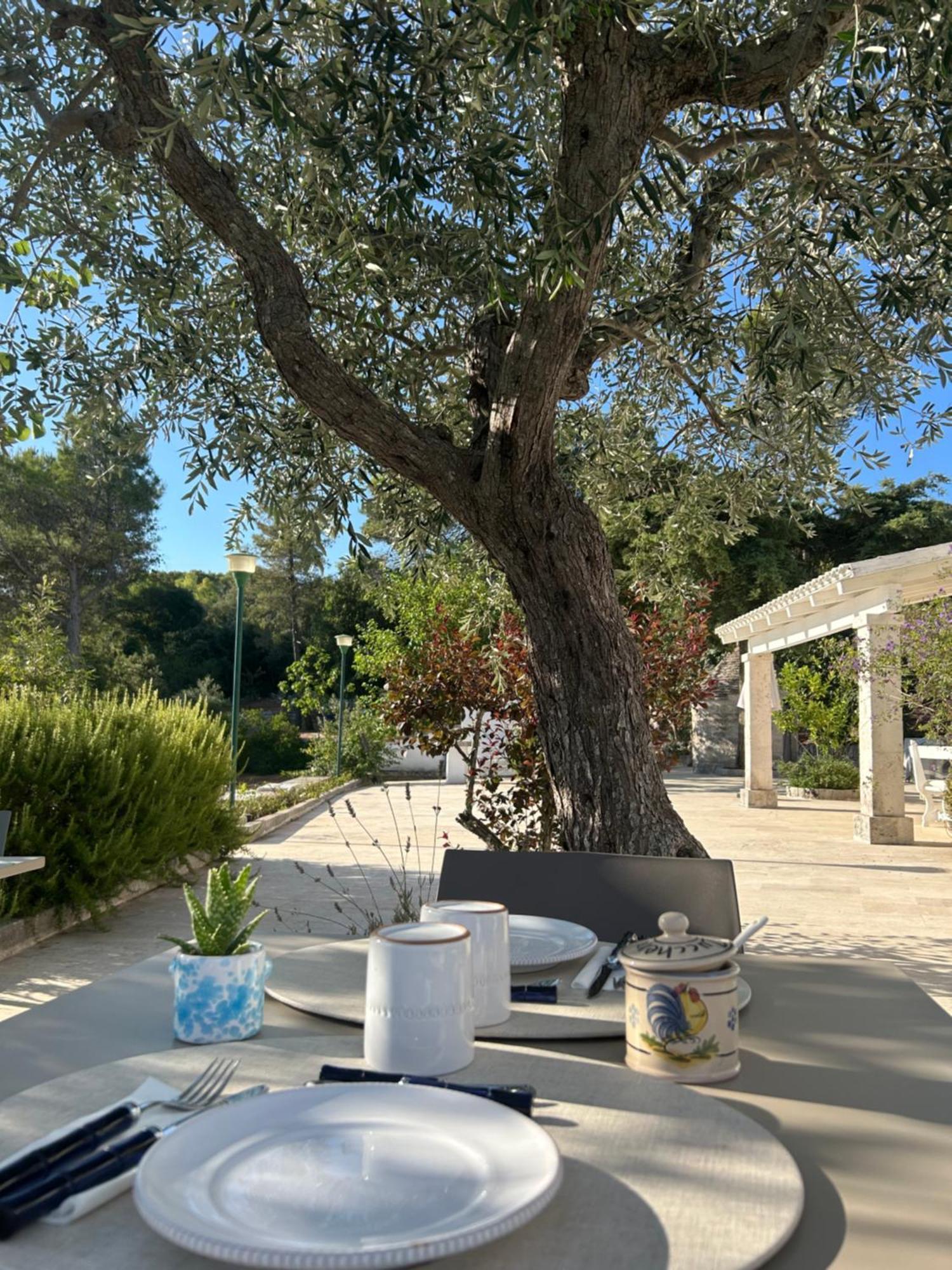 Il Trullo Di Simona Bed & Breakfast Locorotondo Luaran gambar